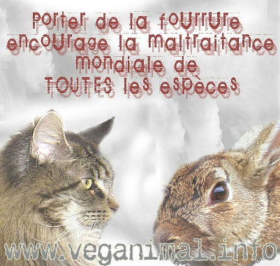 Sauvons toutes les esp�ces !!!!