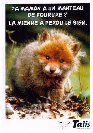 La fourrure m�l�e � l'enfer