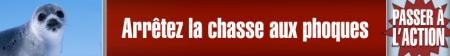 P�tition contre la chasse aux phoques