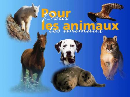 DECLARATION UNIVERSELLE DES DROITS DE L'ANIMAL