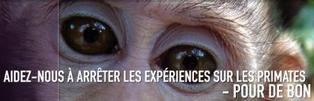 SUITE  : Le parlement europ�en lance un message clair � la Comission europ�ene : Les exp�rimentations sur les singes doivent cesser !